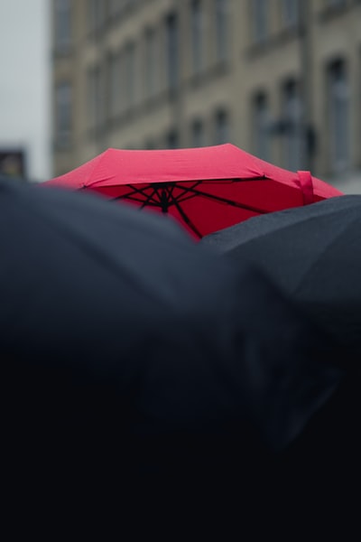 黑色和红色雨伞的特写摄影